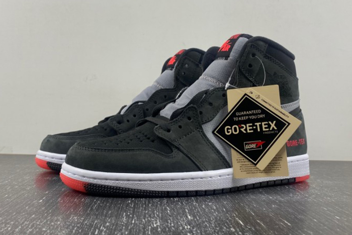 Air Jordan 1 Element Bred Gore-Tex DB2889-002