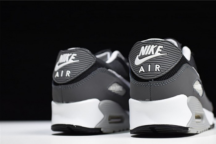 Air Max 90 Essential - Nike - 537384-032
