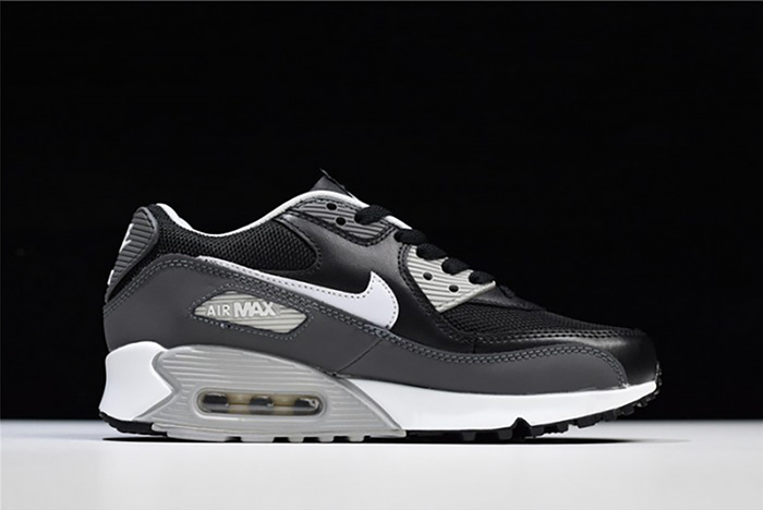 Air Max 90 Essential - Nike - 537384-032