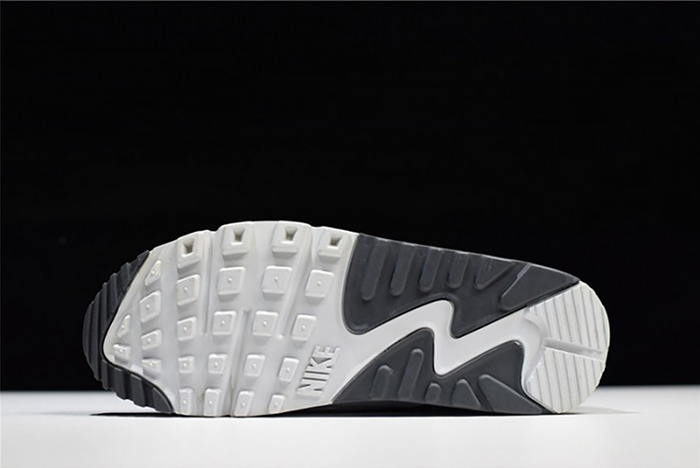 Nike Air Max 90 Essential - 537384-083