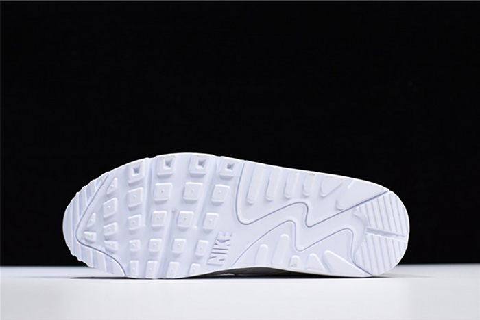 Nike Air Max 90 Essential | White  537384-111
