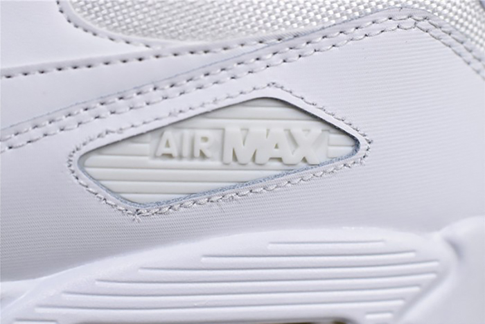 Nike Air Max 90 Essential | White  537384-111