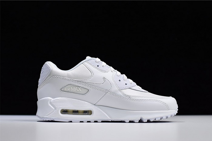 Nike Air Max 90 Essential | White  537384-111