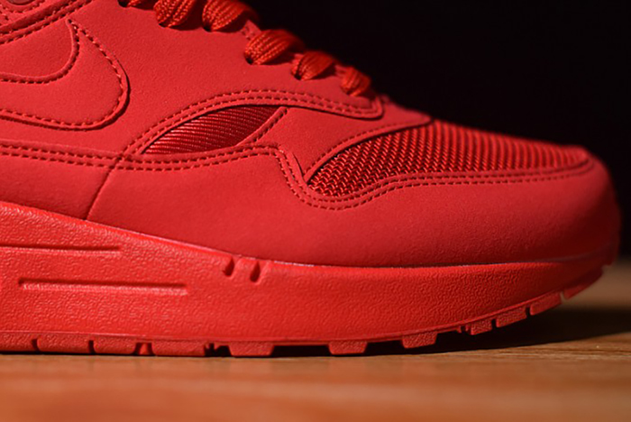 Air Max 1 Tonal Red Blue 875844-600