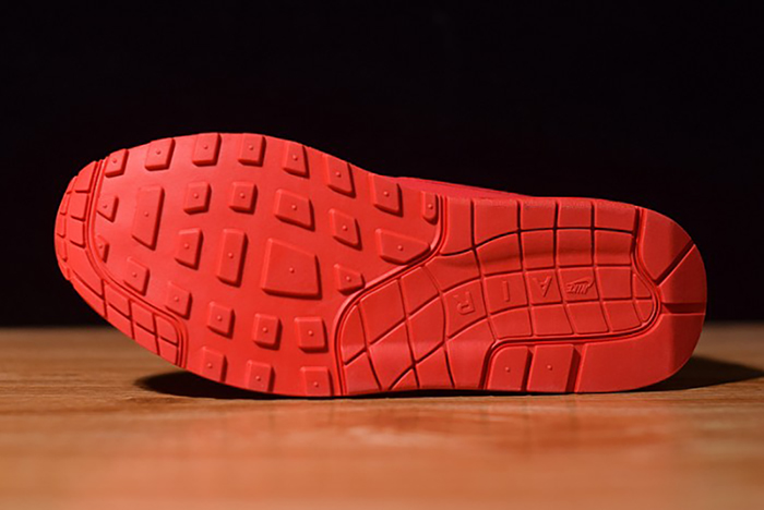 Air Max 1 Tonal Red Blue 875844-600