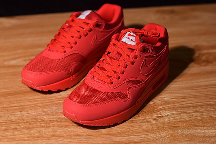 Air Max 1 Tonal Red Blue 875844-600