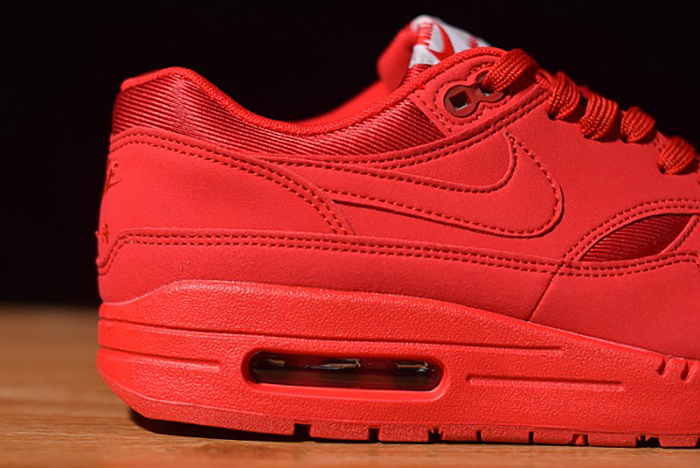 Air Max 1 Tonal Red Blue 875844-600