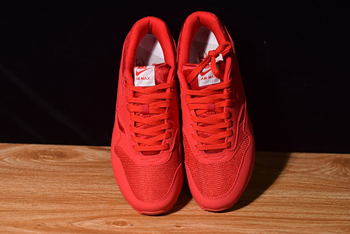 Air Max 1 Tonal Red Blue 875844-600