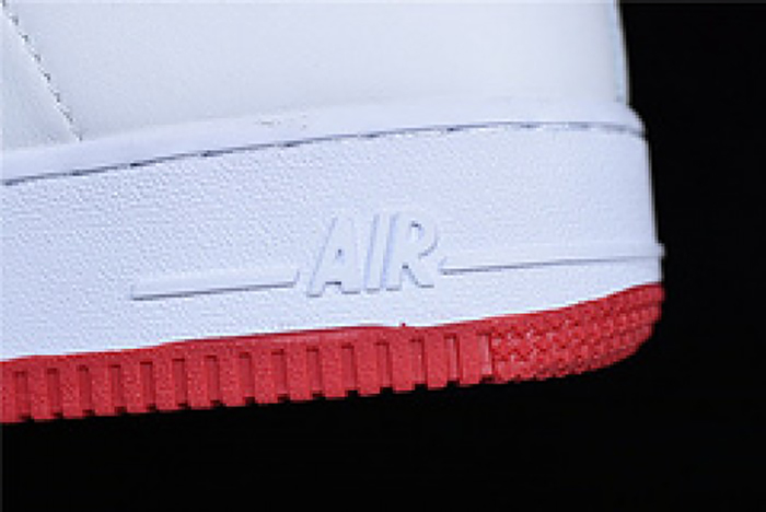 Nike Air Force 1 Low Fo Fi Fo AQ5107-100