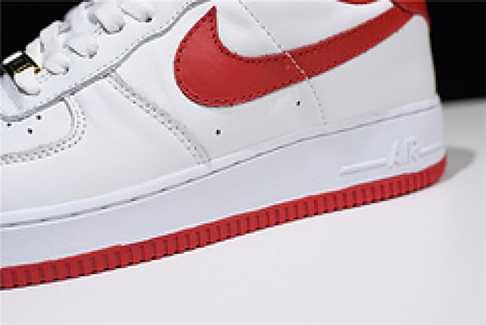 Nike Air Force 1 Low Fo Fi Fo AQ5107-100